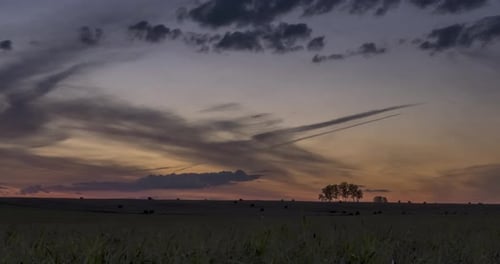 Flat Hill Meadow Timelapse at the Summer Sunrise Time Wild Nature and Rural Field Sun Rays Trees