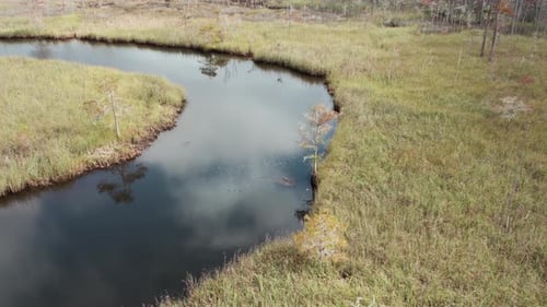 Aerial flight over a creek winding through thick grasses in a Florida marshland