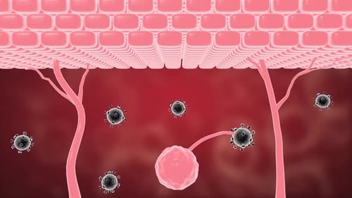 Cell death 3d animation, cancer cells damage.