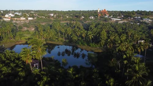 Gorgeous lake surrounded by tropical coconut trees, buddhist temple in background