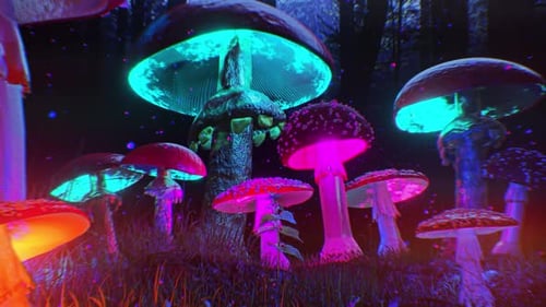 Psychedelic Mashroom Jungle
