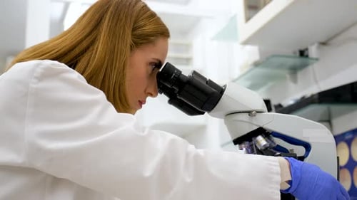 Woman Using Microscope in Brightly Lit Lab