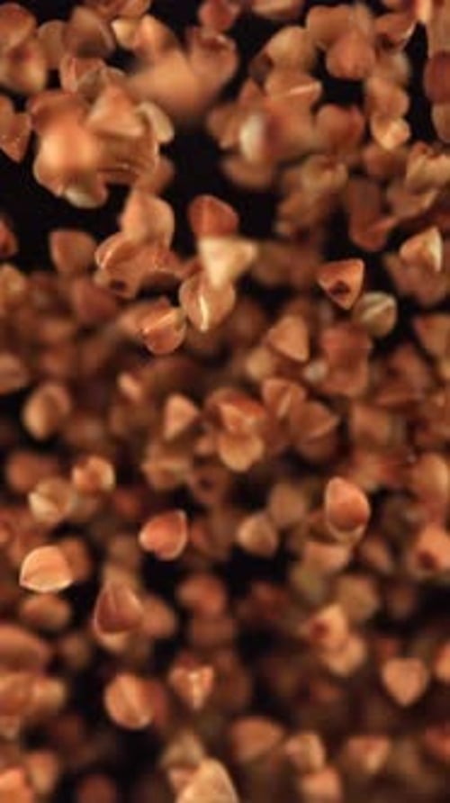 Buckwheat Flies Up and Falls Down Filmed on a Highspeed Camera at 1000 Fps