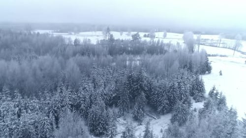 Aerial flyover snow-covered woodland forest during snowy winter with clouds at sky