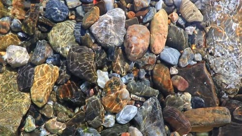 Vibrantly Colored River Stones Shimmering Beneath Crystal Clear Running Water