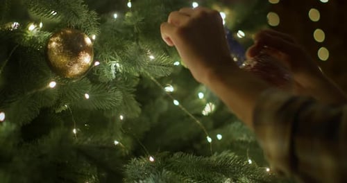 Decorating a Christmas Tree With Red Ball