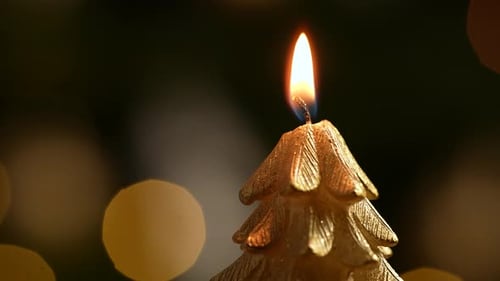 Festive Christmas Tree Candle Burning Brightly