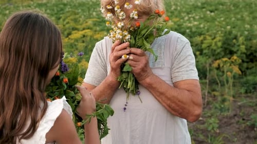 Girl and Woman Enjoying Wildflowers in Grassy Field