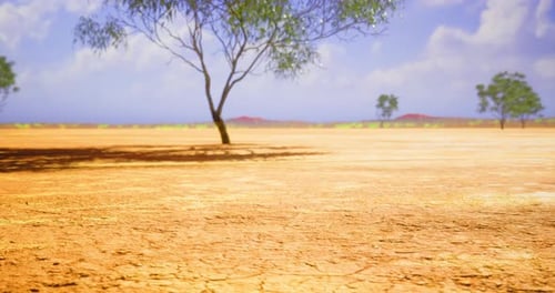 Arid Desert Landscape with Sparse Trees under Blue Sky