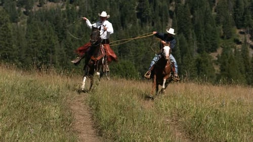 Two Cowboys Riding Horseback Swinging Lassos, Slow Moiton 25-30