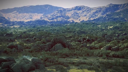 Sunset Glow on Rugged Terrain Amber Light Enhances Quiet Rocky Scene