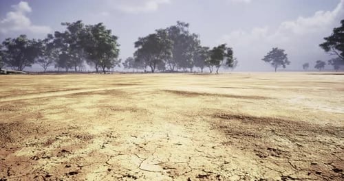 Realistic Dry Desert Landscape Fly-through with Sparse Trees