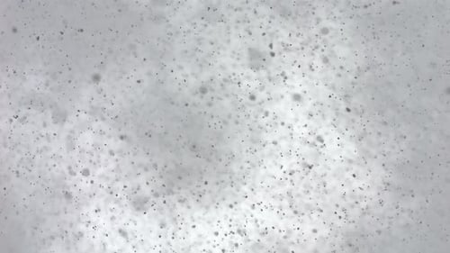 2K Schnee