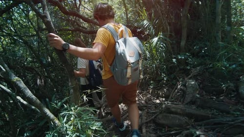 Couple Hiking in the Lush Forest