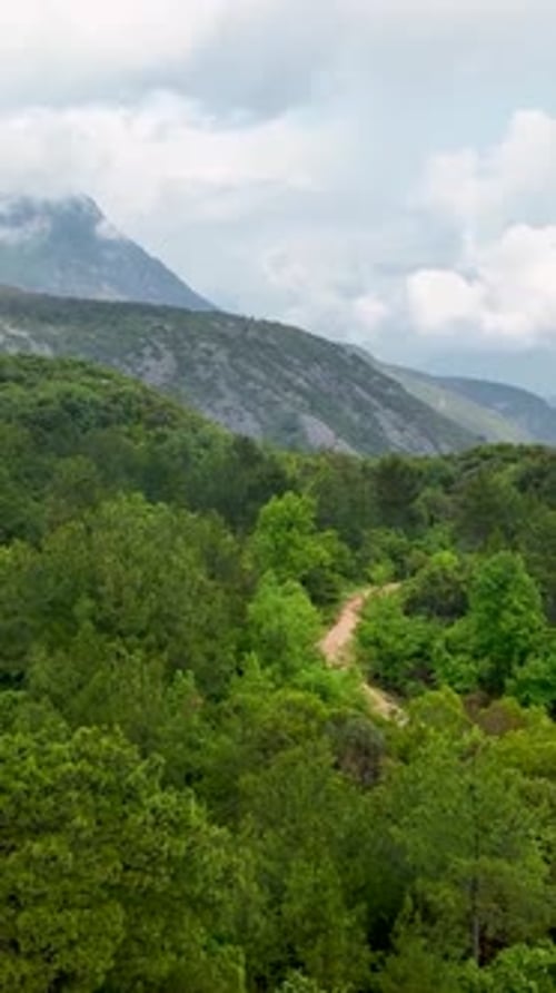 Vertical Video Aerial Encounter with MoistureAdorned Green Paradise Cinematic Delight for Nature