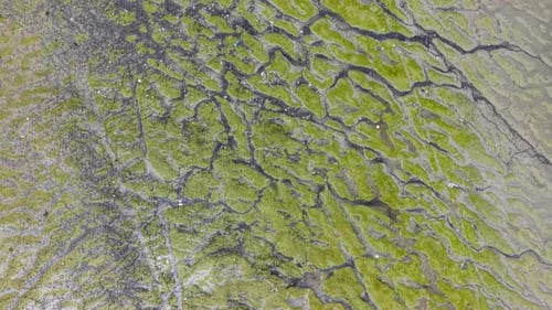 Drone aerial view muddy river mudflats during low tide