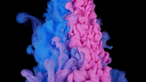 Blue and Pink Ink Plumes Abstractly Swirling