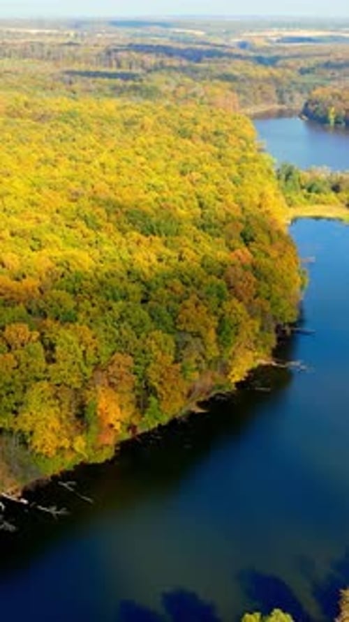 Aerial view of beautiful forest river fields. Autumn seasonal forest landscapes. Vertical video