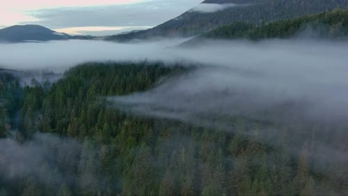 Valley By Mountains and Green Trees Covered in Fog Canadian Landscape Nature Aerial