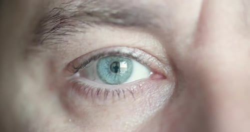 Close Up Macro Shallow Depth of Field Shot of Human Male Eye