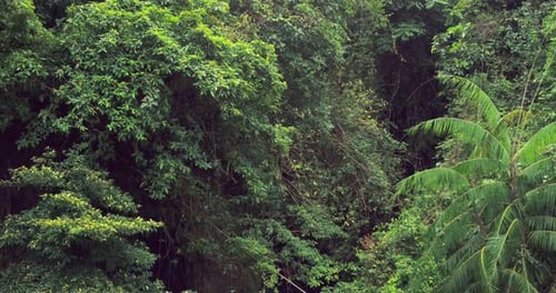 Cinematic Slow Flow River in Tropical Canyon with Natural Texture