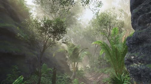 Serene Forest Pathway Surrounded By Lush Greenery in the Early Morning Fog