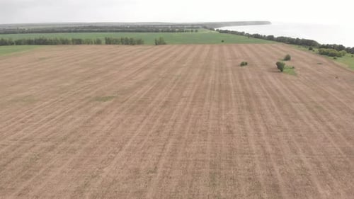 Feld