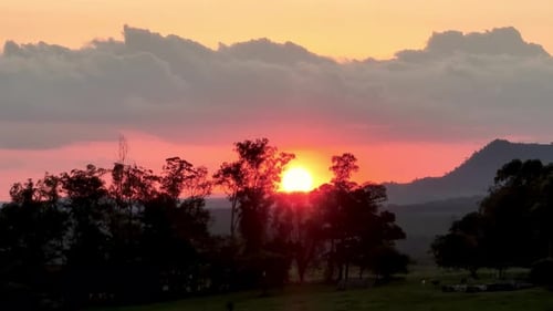Sunset at rural life scenery. Rural landscape. Forest trees scenery.