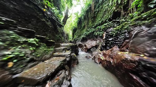 Flight Through a Gorge in the Rainforest