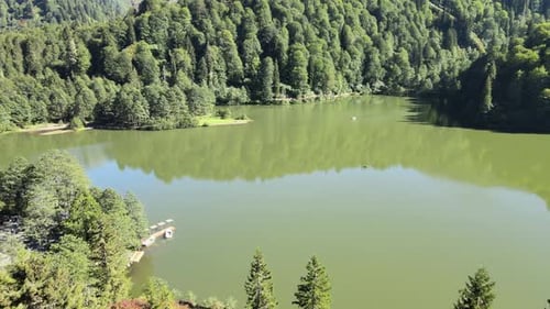 aerial natural lake among forest