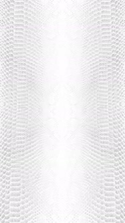 textura de fundo de paralaxe abstrata de pele de cobra branca Vídeo vertical