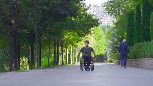 Man in Wheelchair Moves Through Sunny Park