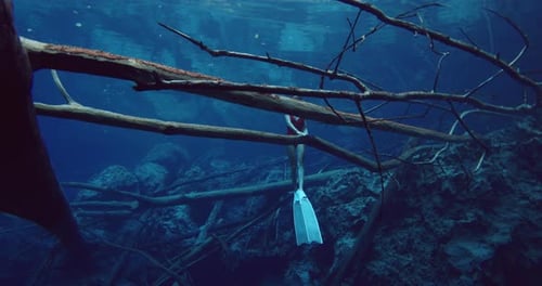 Freediving in Blue Lake Over Sunken Wooden Logs Transparent Lake and Beautiful Woman Diving