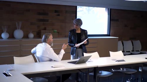 Business meeting in conference room, woman and man