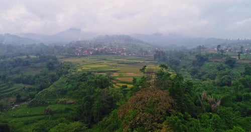 Aerial view layer of foggy rice field hills