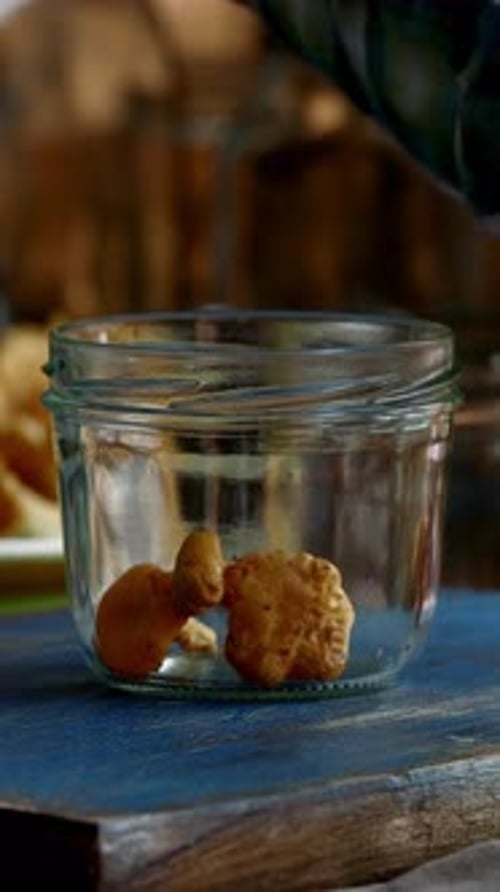 Vertical View Of Mushrooms