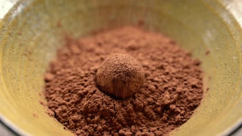 Chocolate Truffle Covered in Cocoa Powder in Bowl