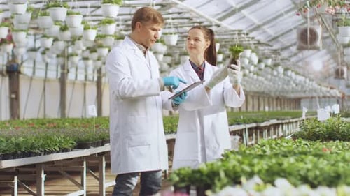 Botanists Examining Plants in Greenhouse Environment