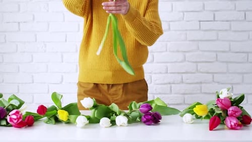 Florist Arranging Colorful Tulips on White Table