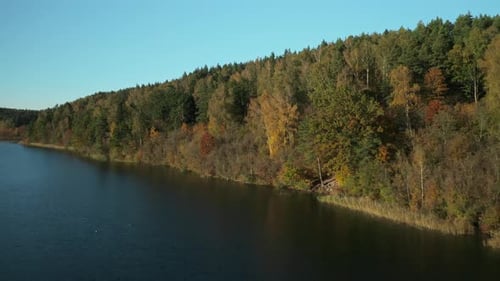 AERIAL: Flying Over the Top of the Trees in the Beautiful Autumn Forest