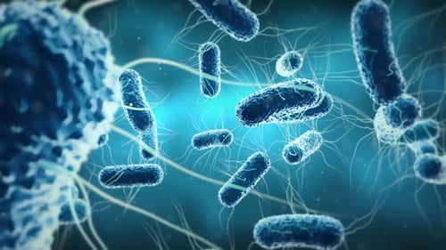 Animated Microscopic Blue Bacteria Cells Movement