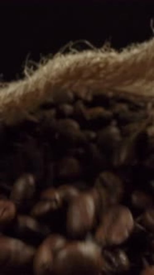 Coffee Beans Poured from Burlap Bag