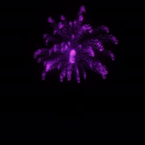 Fireworks B 01