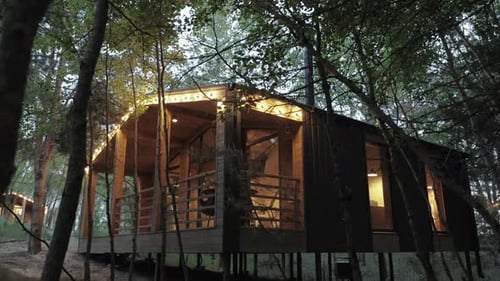 A Cozy Forest Cabin Retreat Delightfully Surrounded By Tranquil Nature for Ultimate Relaxation