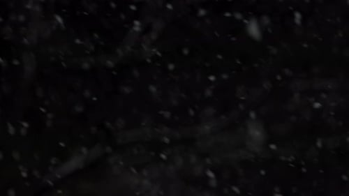 Landschaft mit fallenden Schneeflocken während des Nachtsturms. Statisch