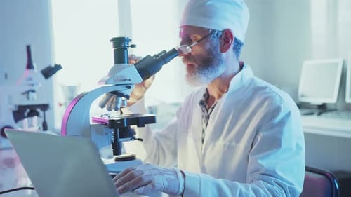 Wissenschaftler analysieren Probe mit dem Mikroskop und tippen auf dem Laptop