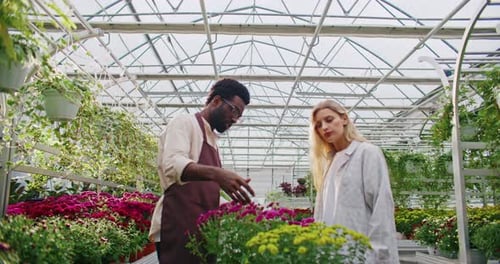Handsome Florist Standing in Front of Client People Observing Live Blooming Plant with Small Red