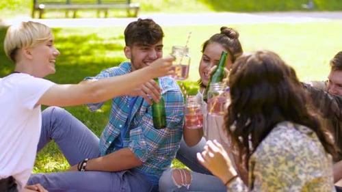 Happy friends clinking non alcoholic drinks at summer park celebration