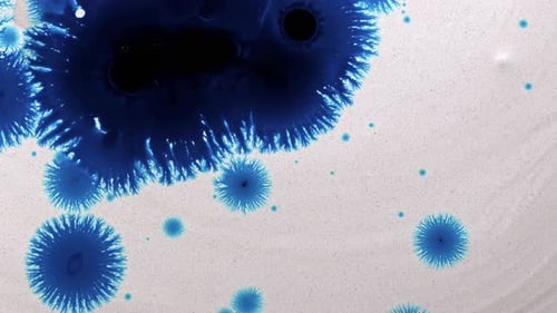 Vibrant Blue Ink Drops Blooming on White Surface