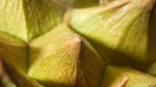 Une photo macro de durian.